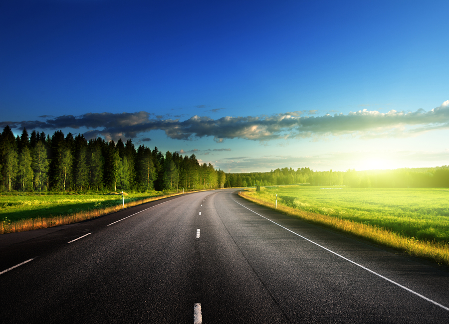 Asphalt road in forest